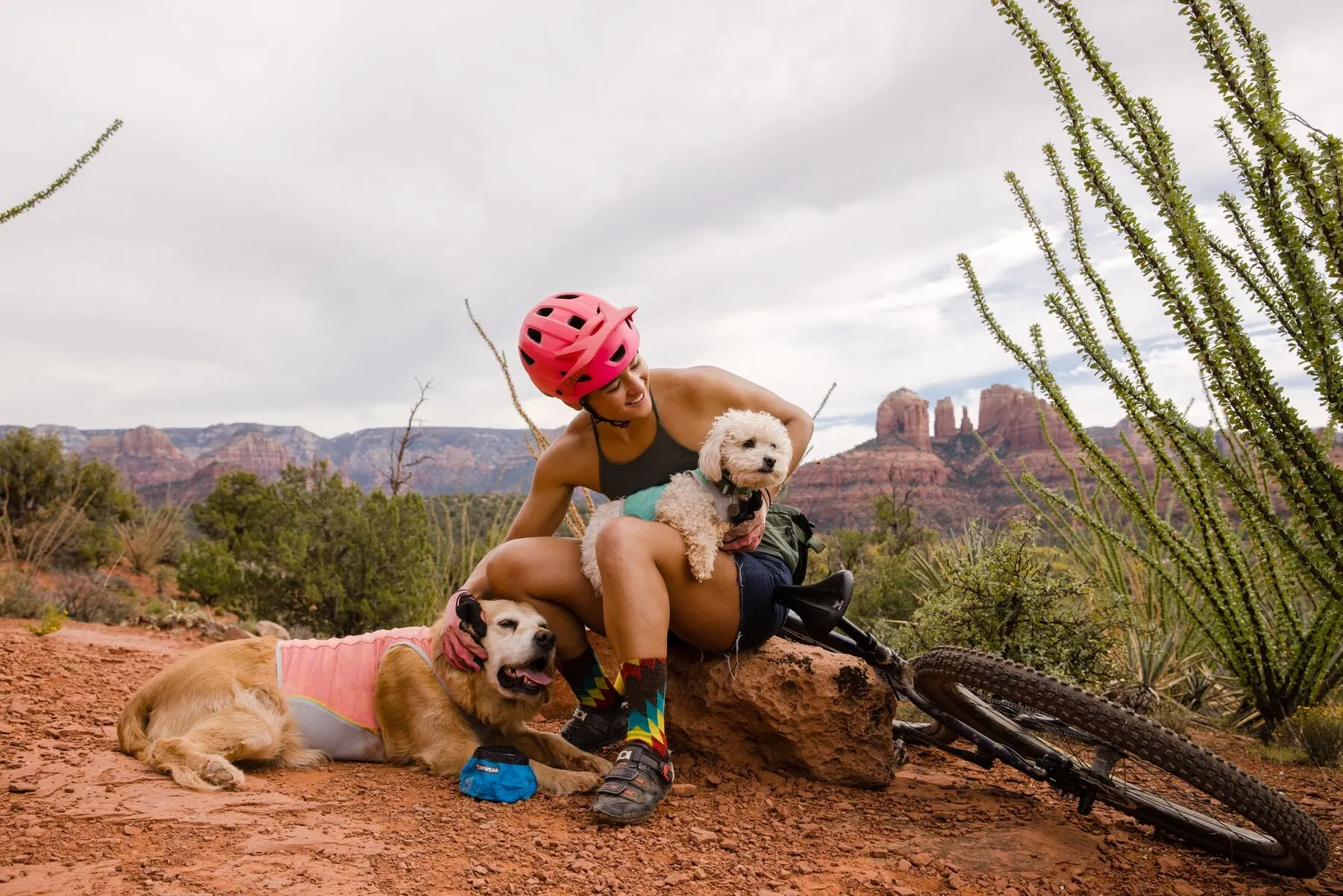 Ruffwear Cooling Dog Vest: Swamp Cooler Zip