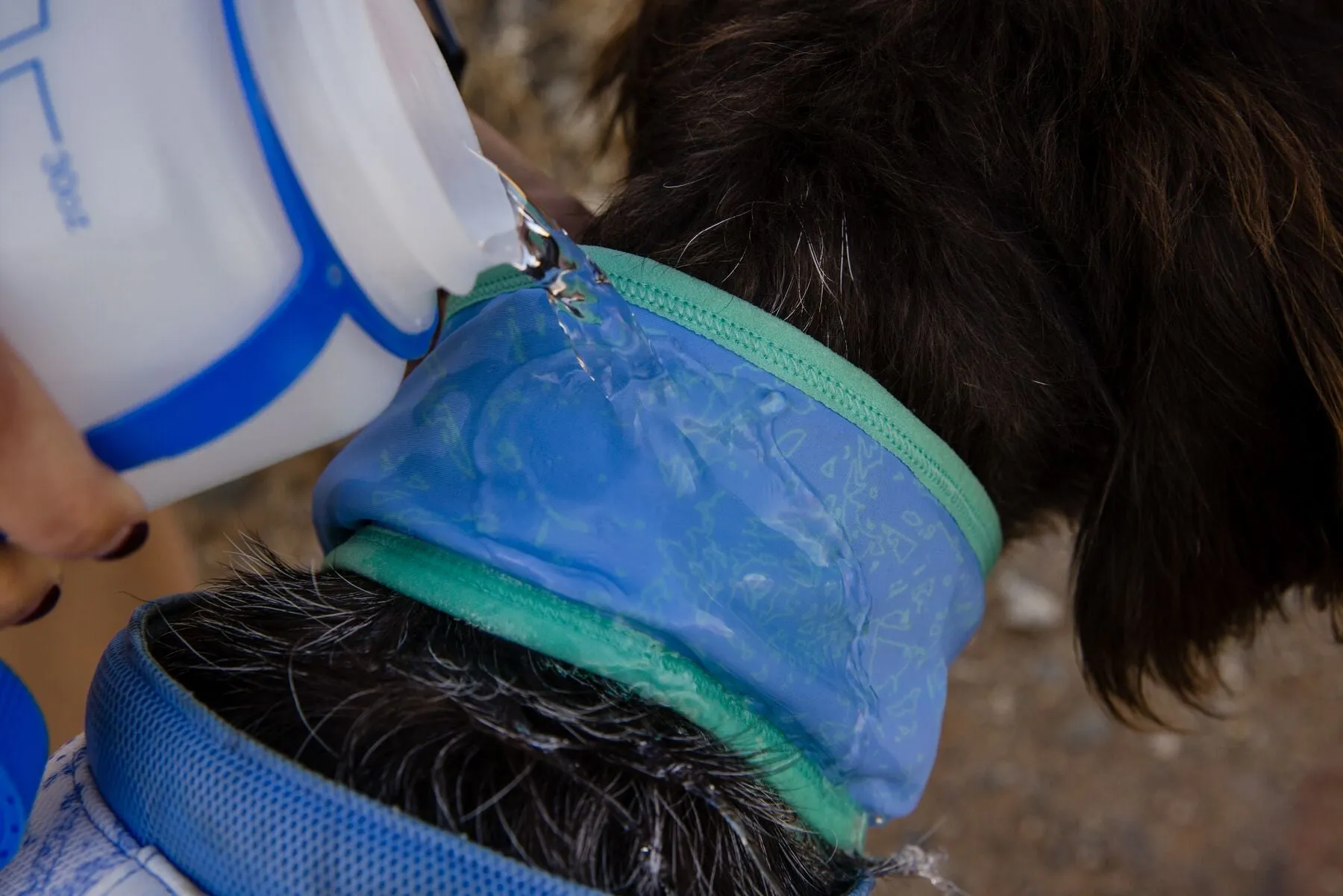 Ruffwear Cooling Dog Vest: Swamp Cooler