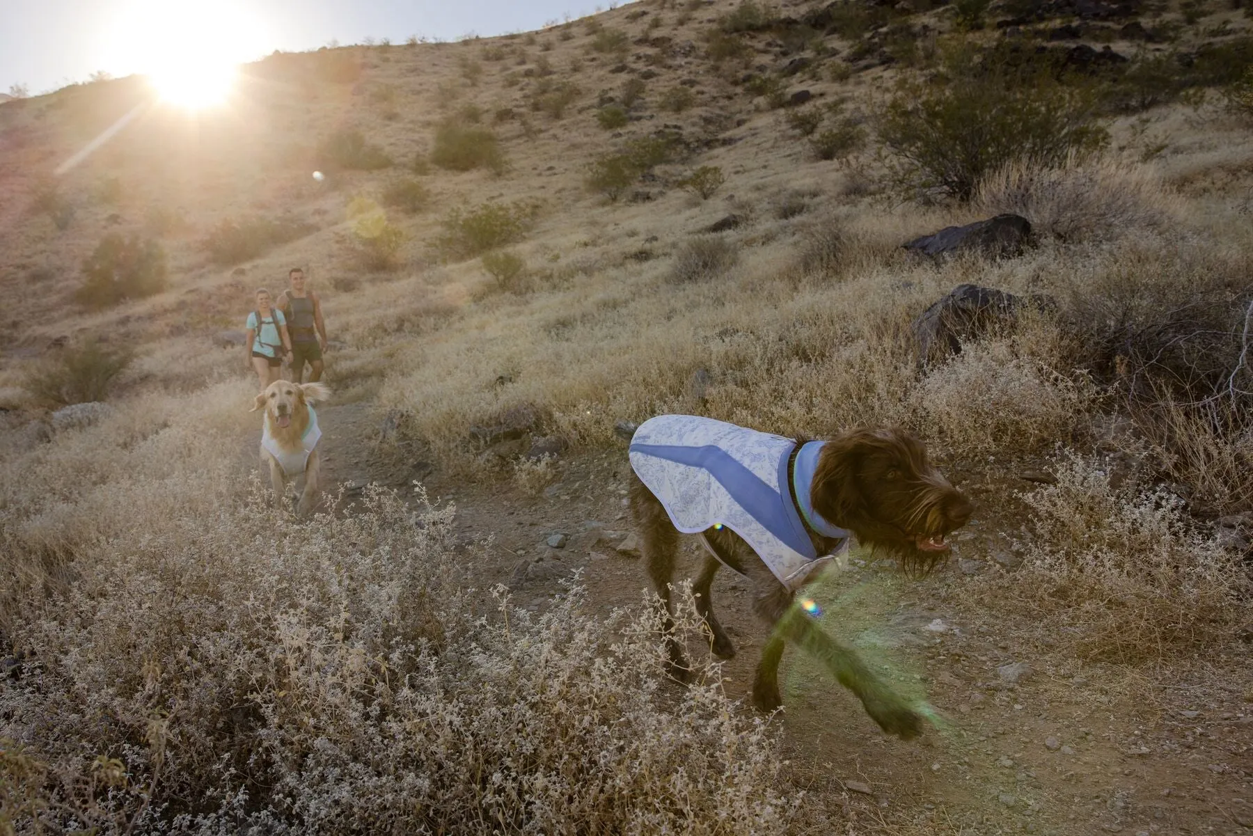 Ruffwear Cooling Dog Vest: Swamp Cooler
