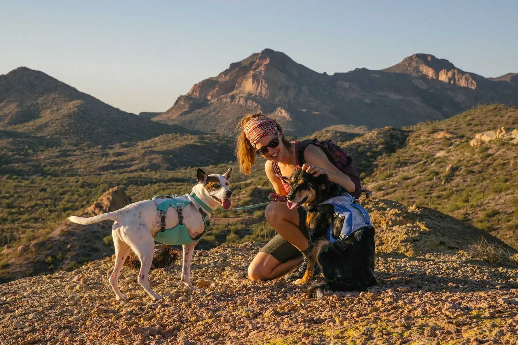 Ruffwear Dog Cooling Harness: Swamp Cooler