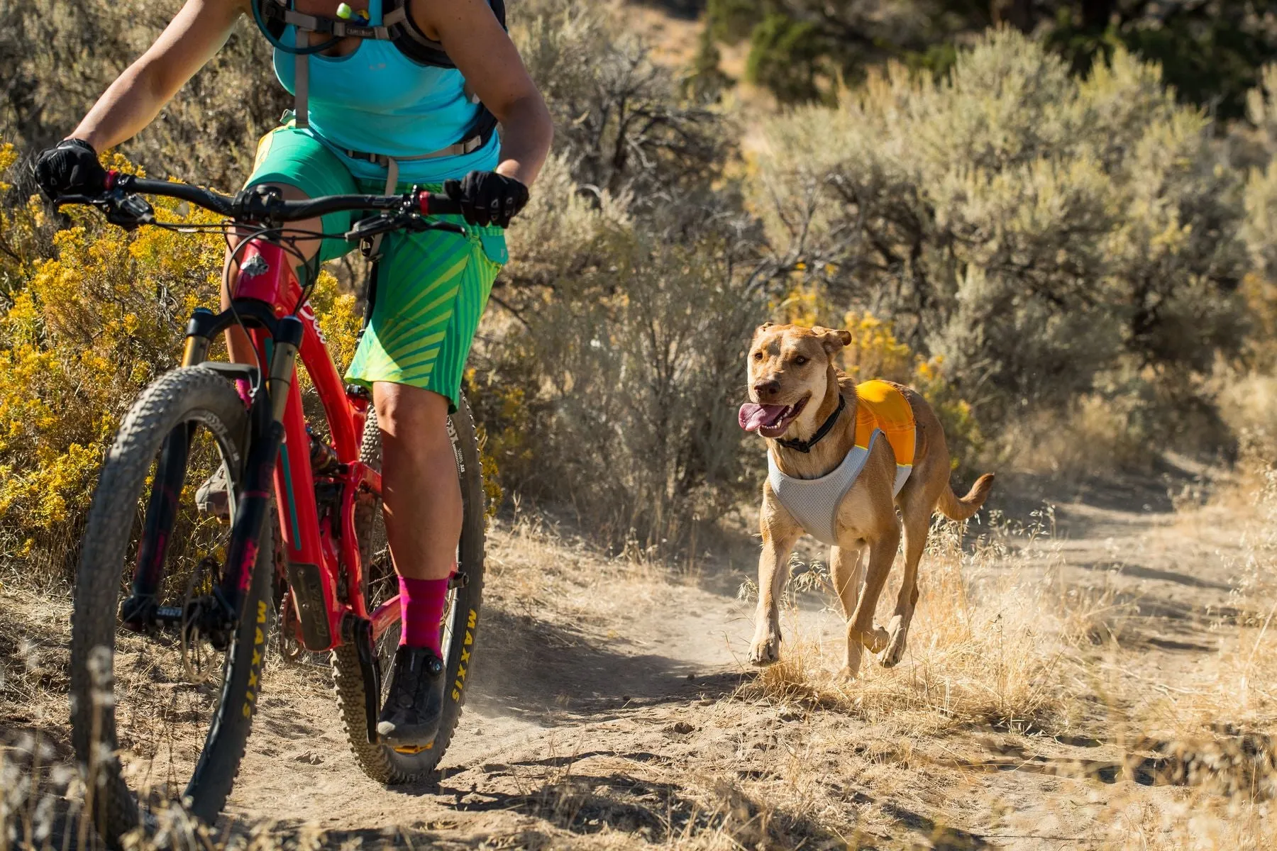 Ruffwear Dog Cooling Vest: Jetstream