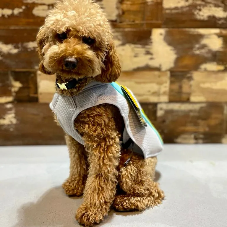Ruffwear Swamp Cooler Cooling Vest for Dogs