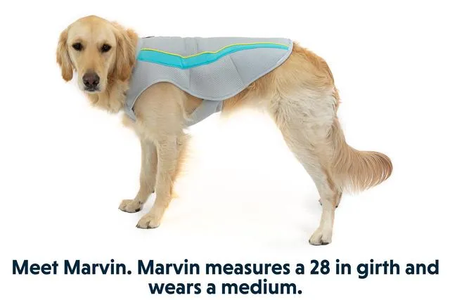 Ruffwear Swamp Cooler Cooling Vest for Dogs