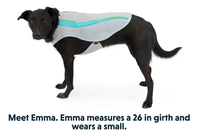 Ruffwear Swamp Cooler Cooling Vest for Dogs