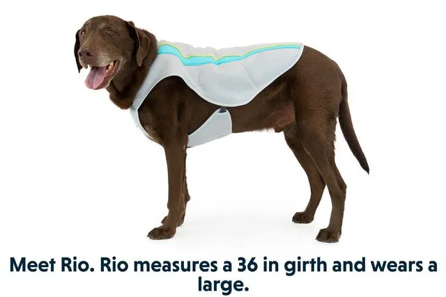 Ruffwear Swamp Cooler Cooling Vest for Dogs