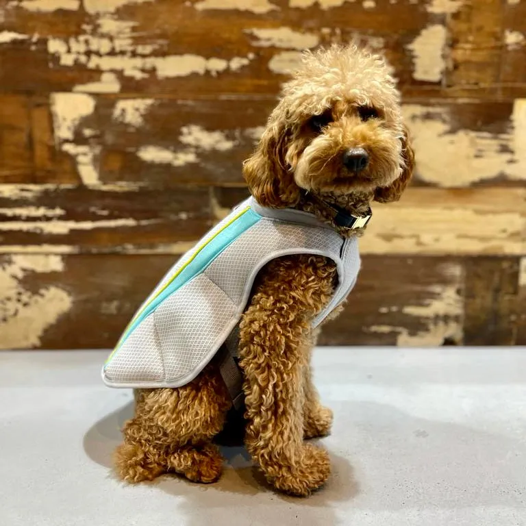 Ruffwear Swamp Cooler Cooling Vest for Dogs