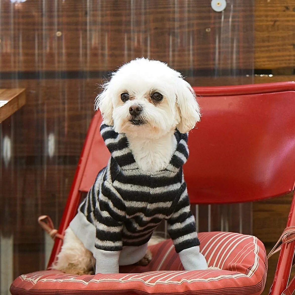 Safari Pooch | Black & Grey Stripe Dog Hoodie