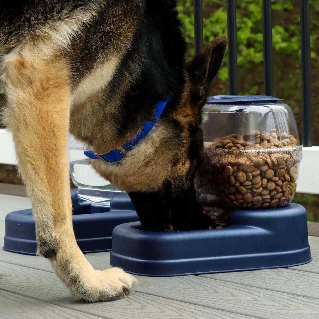 Small Gravity Pet Waterer Dispenser - 13″ x 11.5″ x 11.25 - Bergan