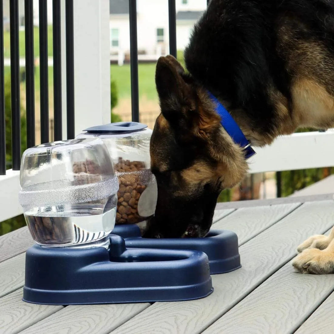 Small Gravity Pet Waterer Dispenser - 13″ x 11.5″ x 11.25 - Bergan