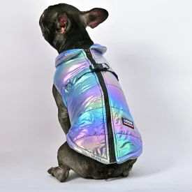 Snow Shield Frenchie Reflective Winter Warm Jacket V1