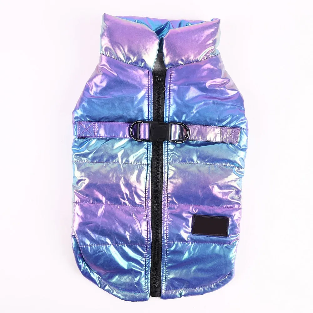 Snow Shield Frenchie Reflective Winter Warm Jacket V1