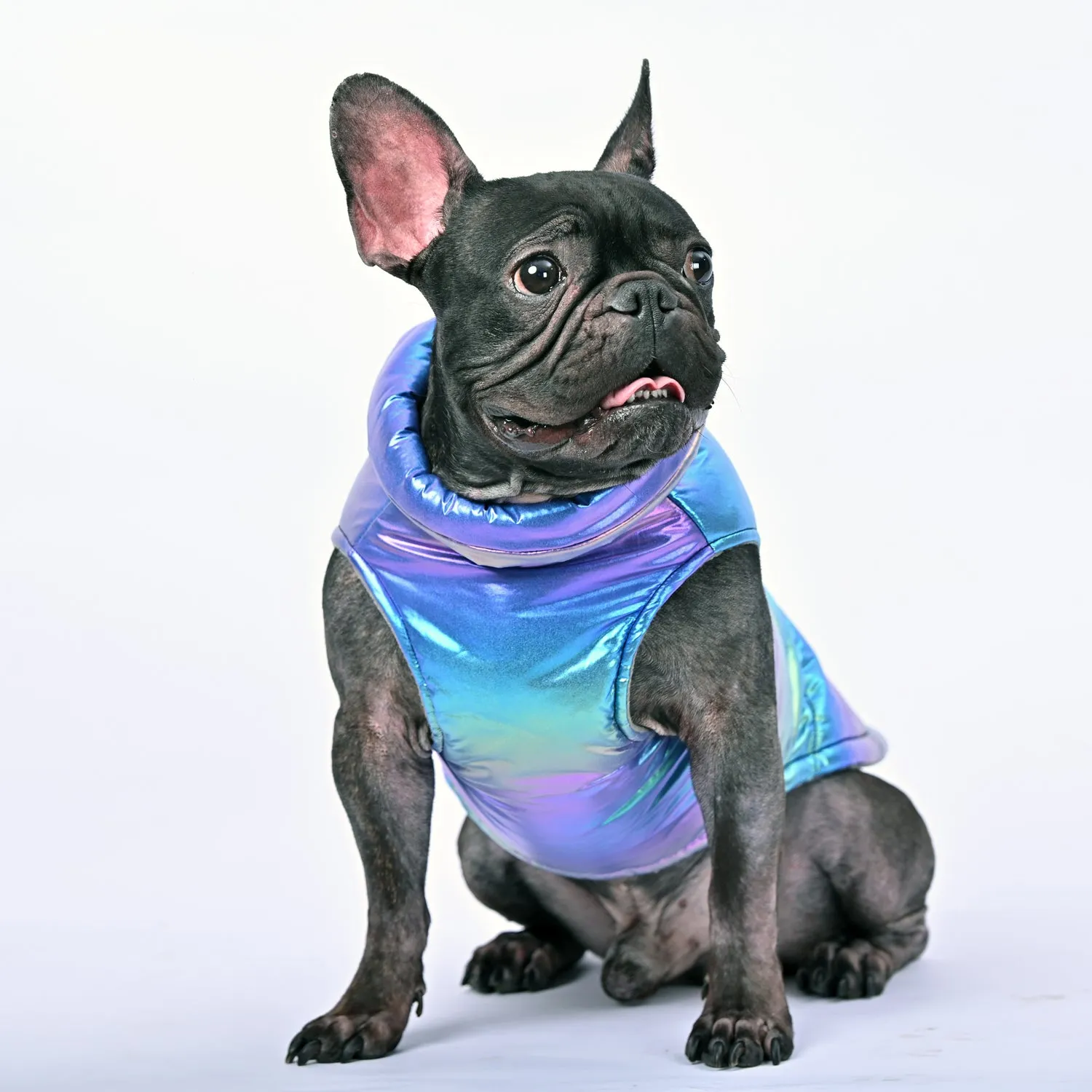 Snow Shield Frenchie Reflective Winter Warm Jacket V1