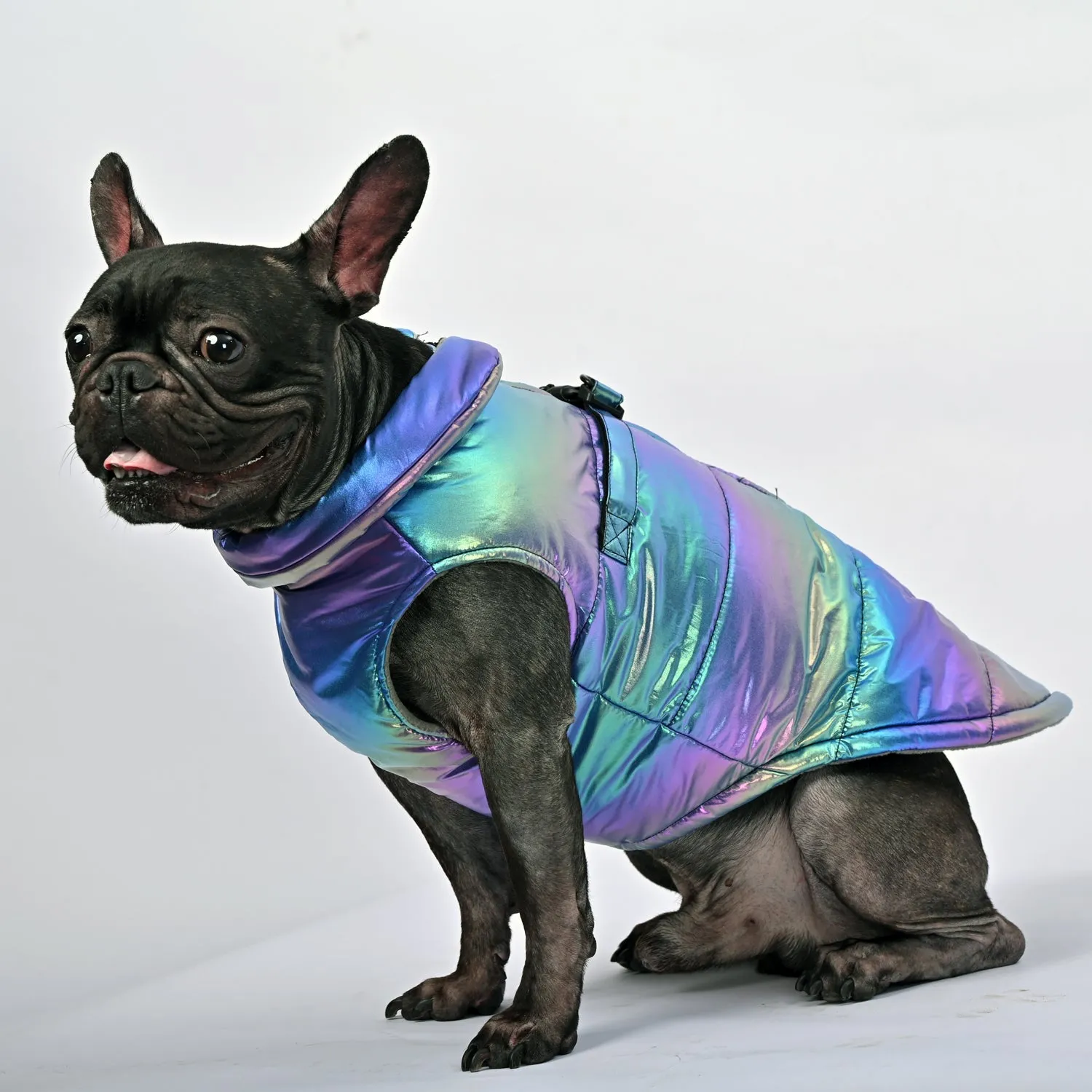 Snow Shield Frenchie Reflective Winter Warm Jacket V1