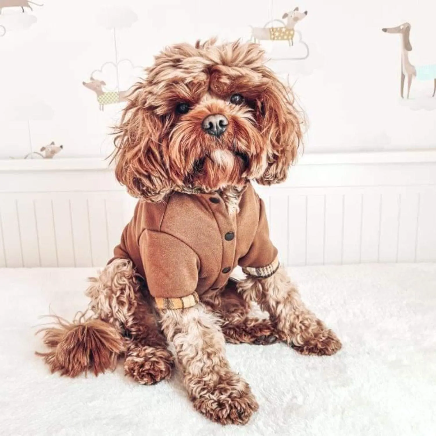 Soho Fleece Dog Hoodie Jumper