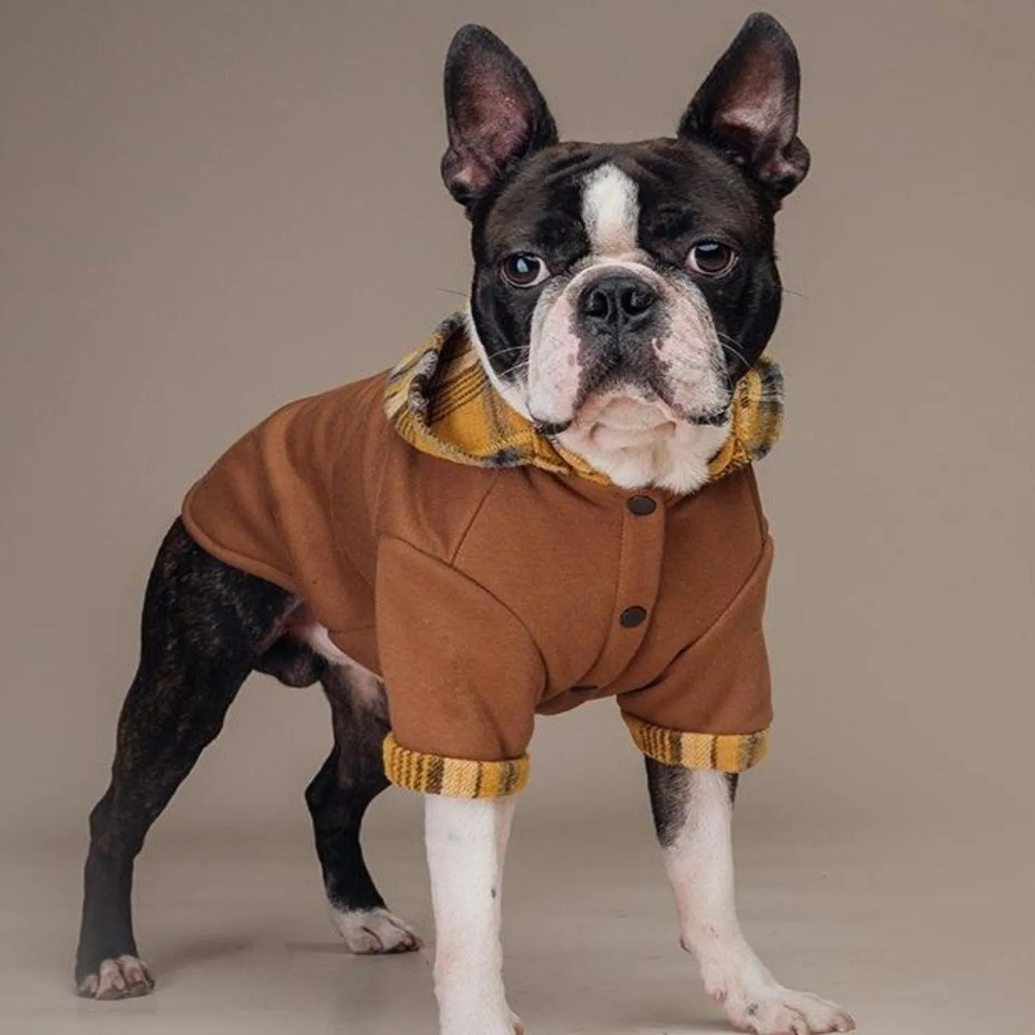 Soho Fleece Dog Hoodie Jumper