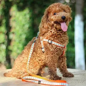 Striped Nylon Dog Chest and Back Cover with Leash