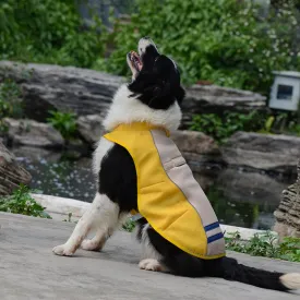 Summer Dog Cooling Vest