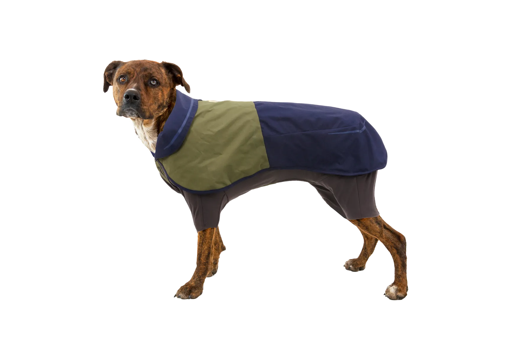Sun Shower™ Coverall Dog Rain Suit