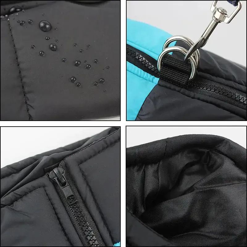 The Dog Face Vest