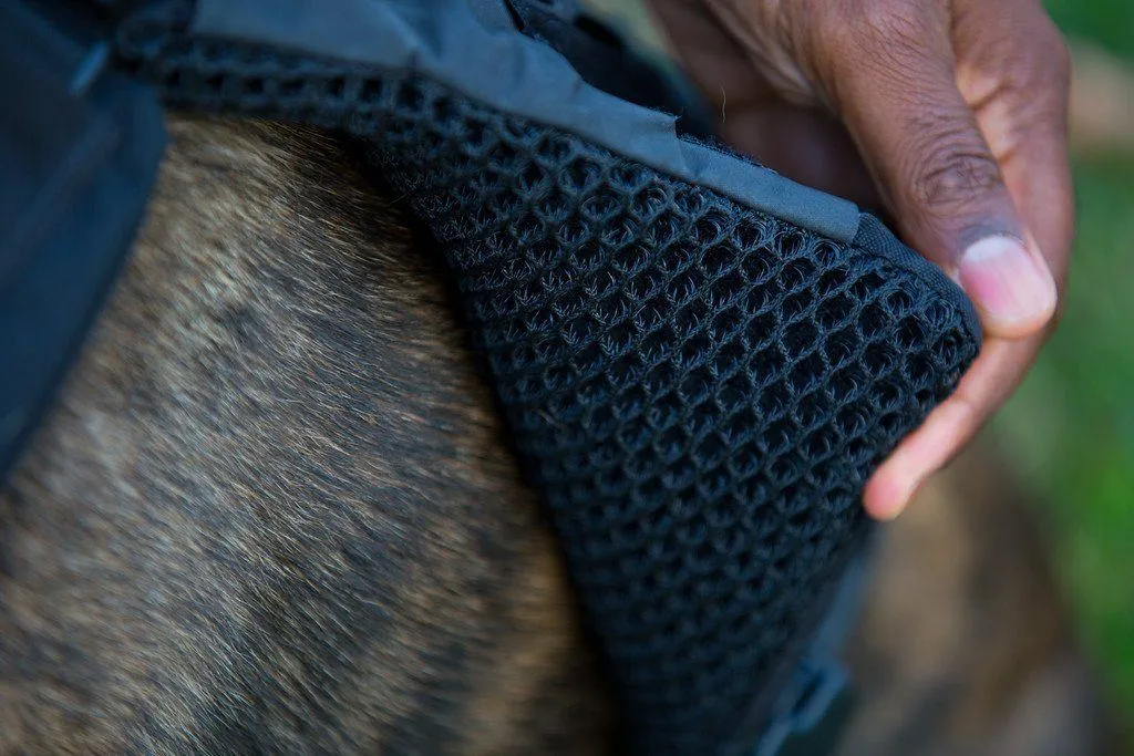 Titan K-9 Ballistic Body Armor Vest 2.0 - Optional Level IIIA Dual Threat -