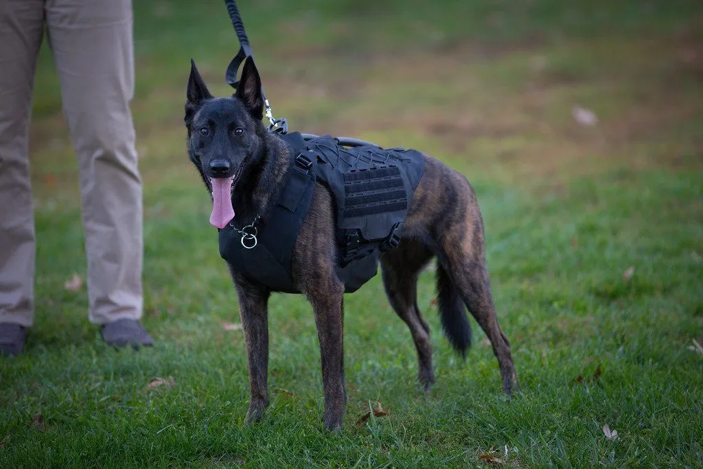 Titan K-9 Body Armor Vest 1.0 - Level IIIA Ballistic -