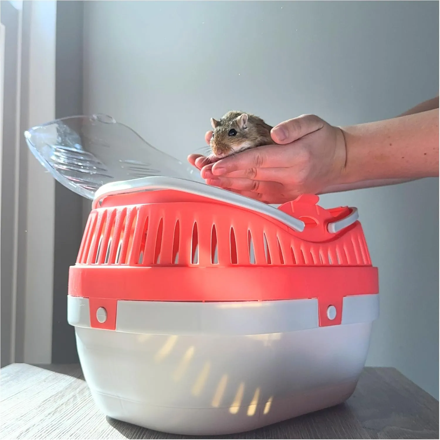 TRIXIE Pico Transport Crate, Small Pet Carrier, Portable Travel Carrier, for Small Pets, Hamsters, Guinea Pig, Lizards
