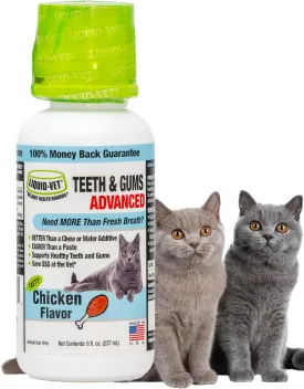 Ultimate Cat Teeth Cleaning for Comprehensive Dental Care: Freshen Bad Breath Solutions for Superior Cat Oral Hygiene and Pet Dental Health.