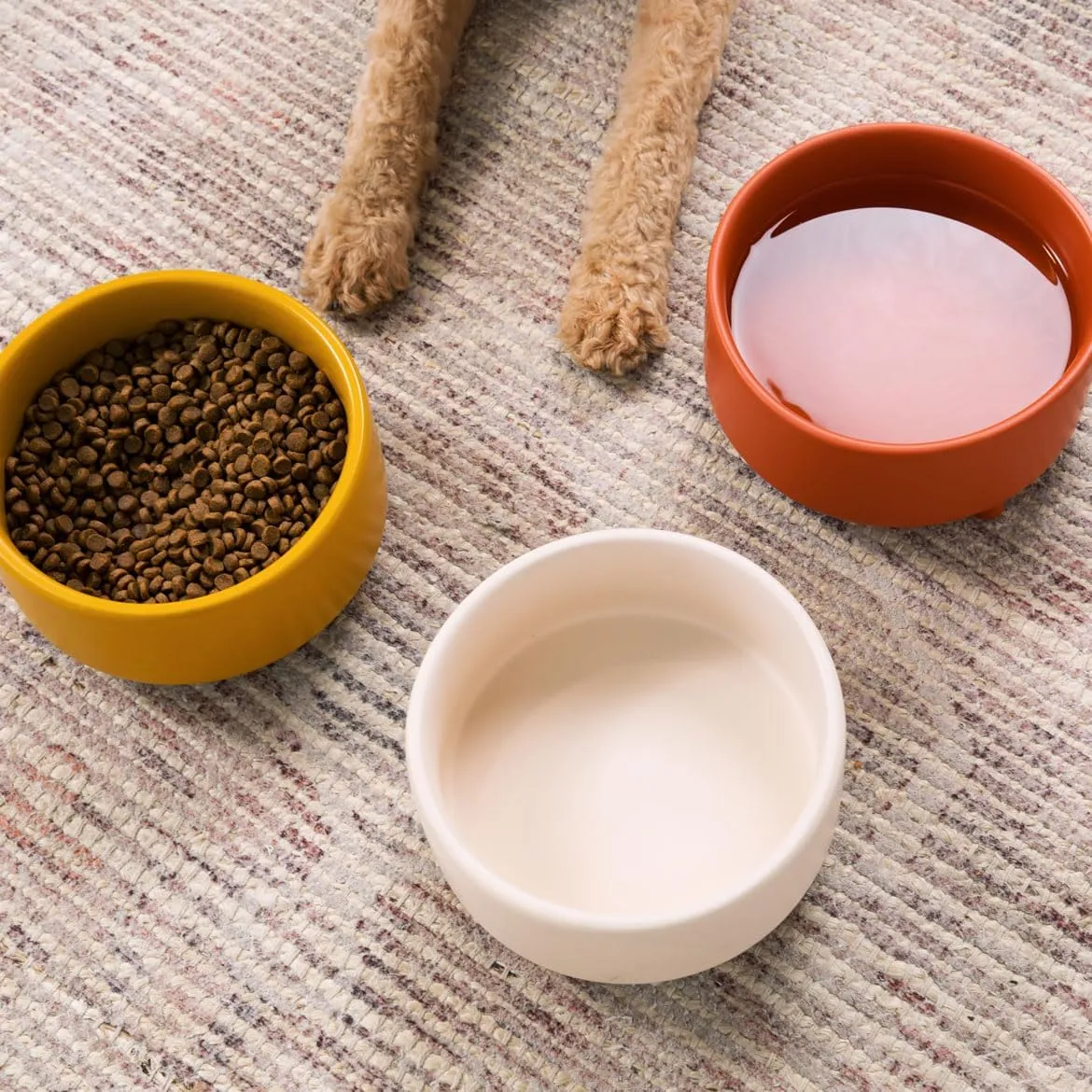 Waggo Uplift Ceramic Dog Bowl for Small Medium and Large Breeds - Heavyweight and Durable Pet Food and Water Dish Crock, Dishwasher Safe, Modern, Elevated Feeder (Mustard, Medium)