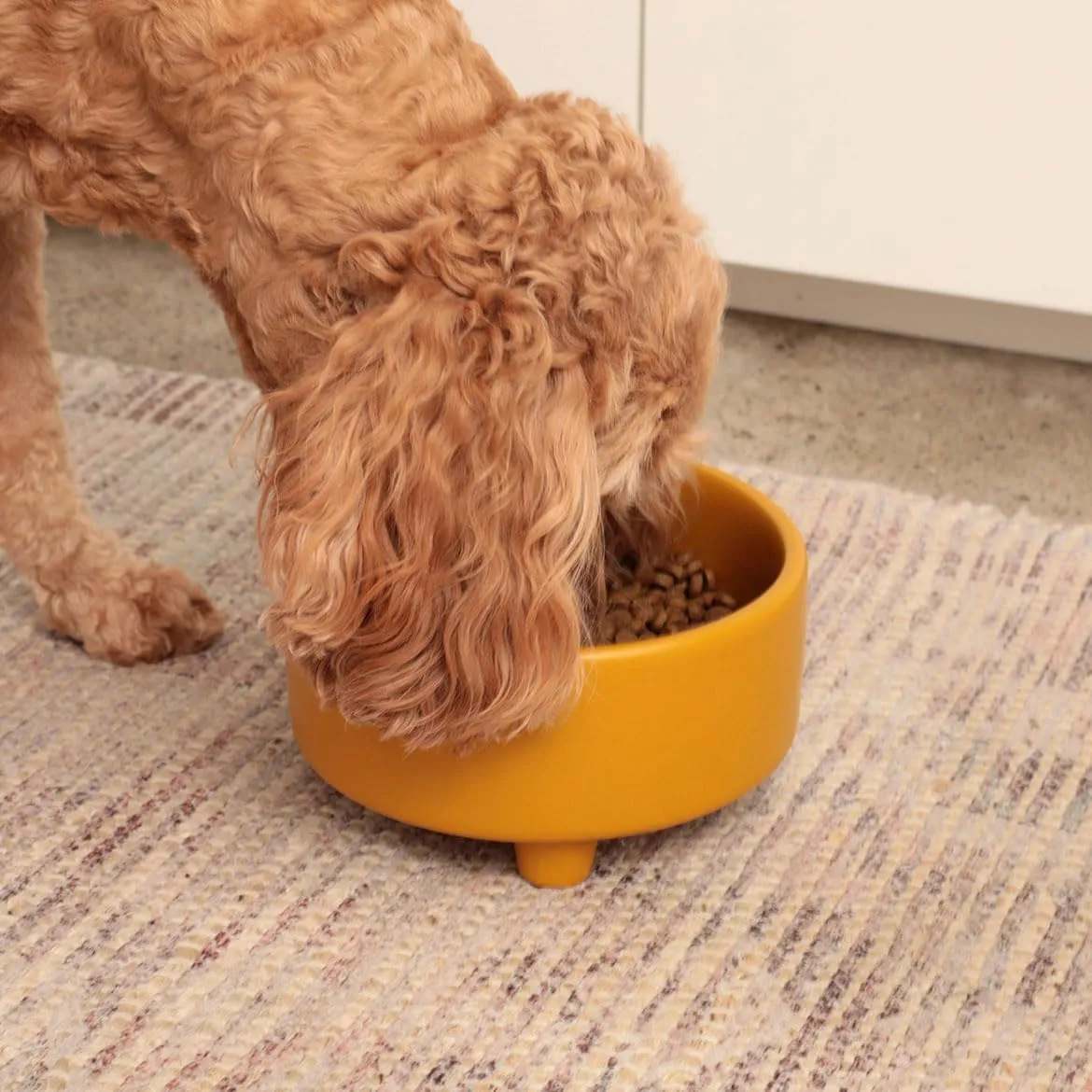 Waggo Uplift Ceramic Dog Bowl for Small Medium and Large Breeds - Heavyweight and Durable Pet Food and Water Dish Crock, Dishwasher Safe, Modern, Elevated Feeder (Mustard, Medium)