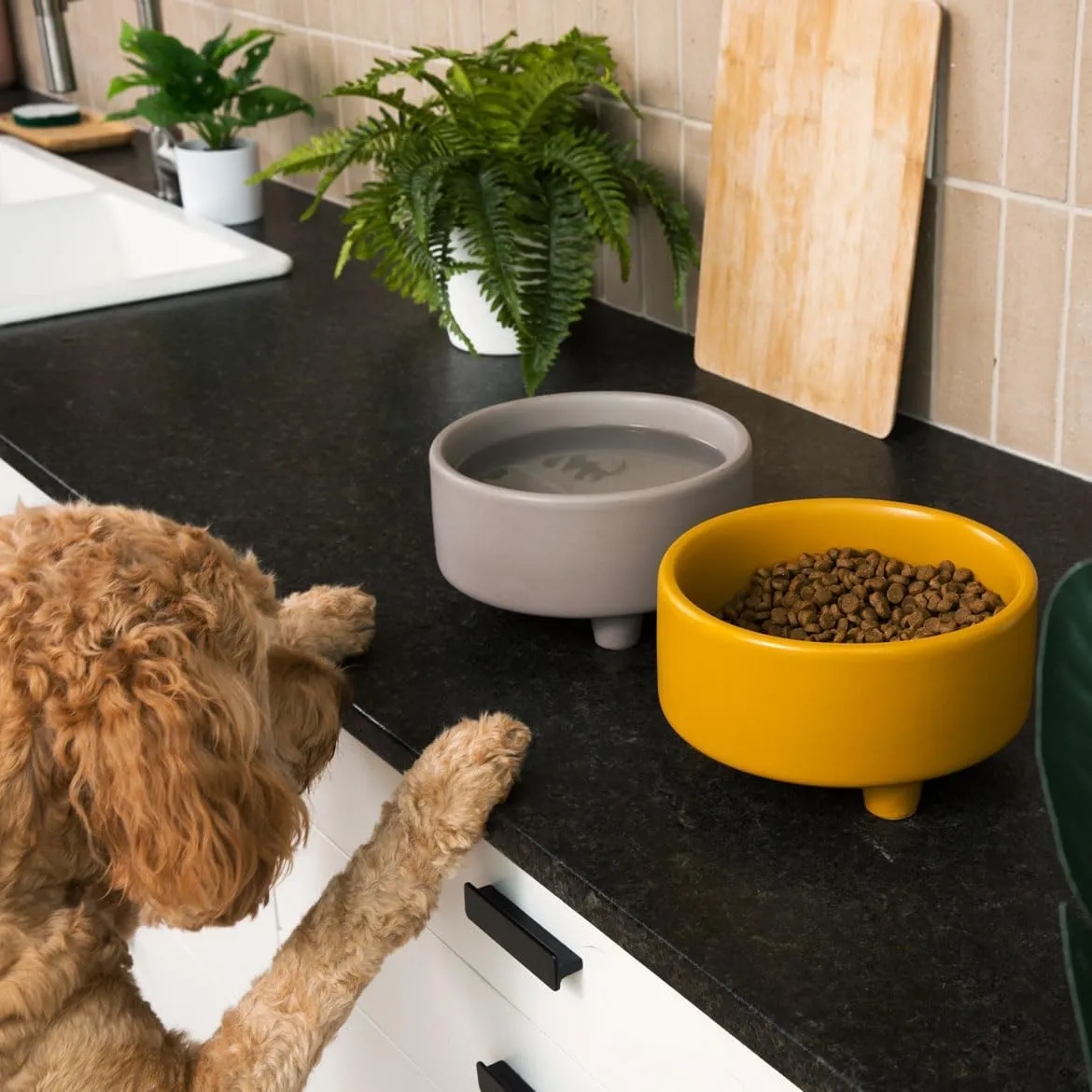Waggo Uplift Ceramic Dog Bowl for Small Medium and Large Breeds - Heavyweight and Durable Pet Food and Water Dish Crock, Dishwasher Safe, Modern, Elevated Feeder (Mustard, Medium)