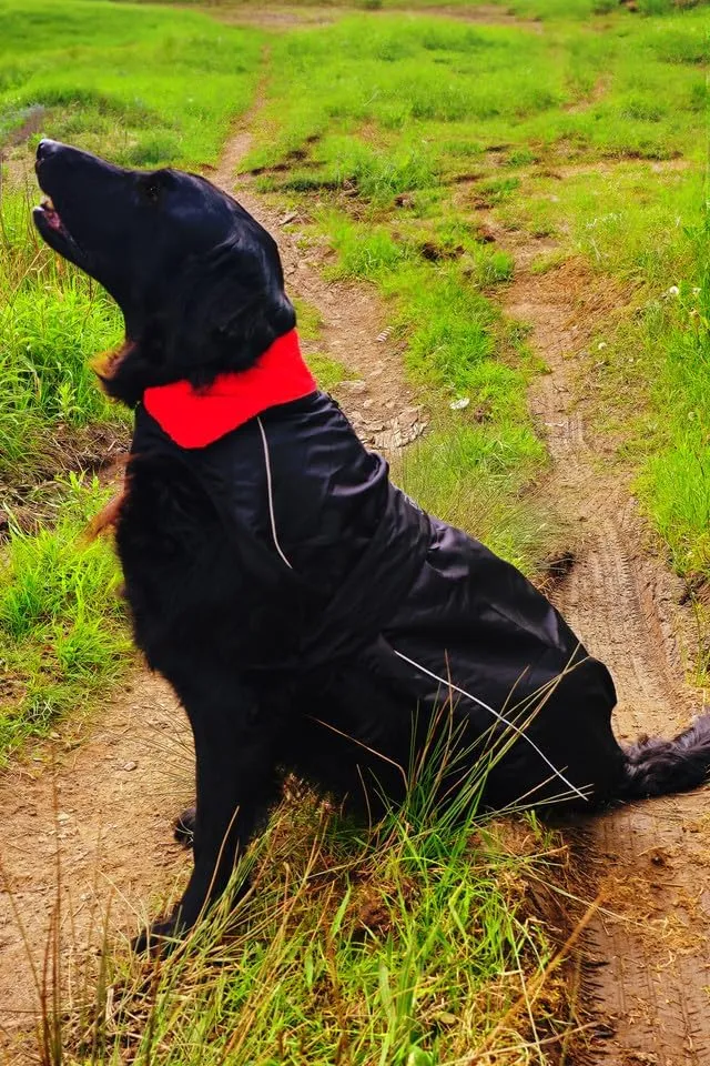 Waterproof Dog Jacket/Coat with Fleece Lining, Reflective Strips