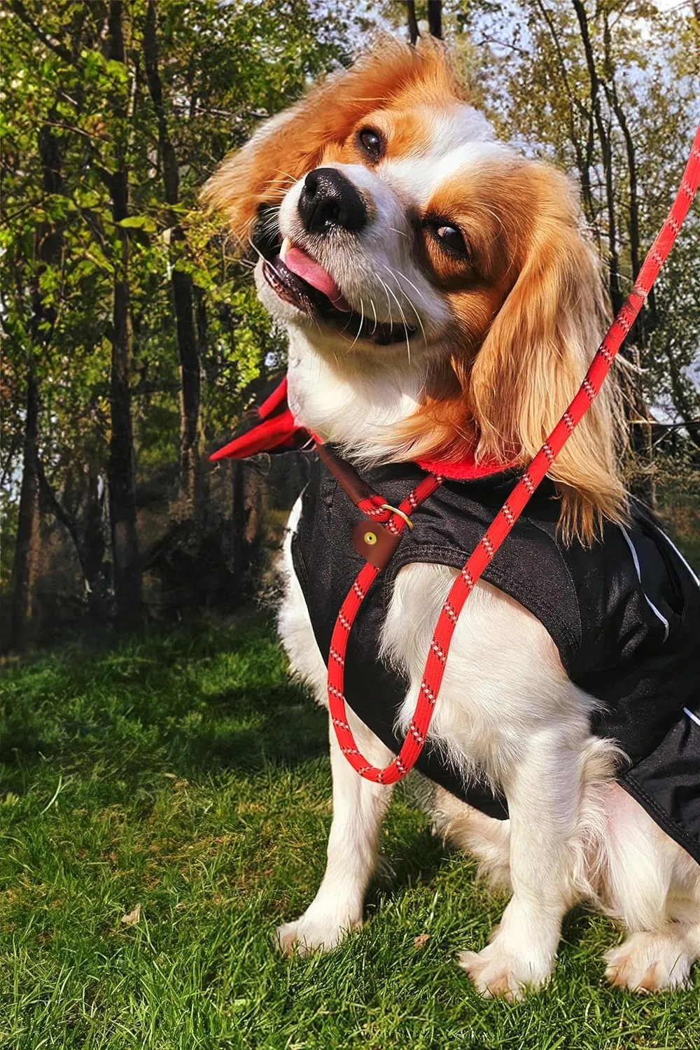 Waterproof Dog Jacket/Coat with Fleece Lining, Reflective Strips