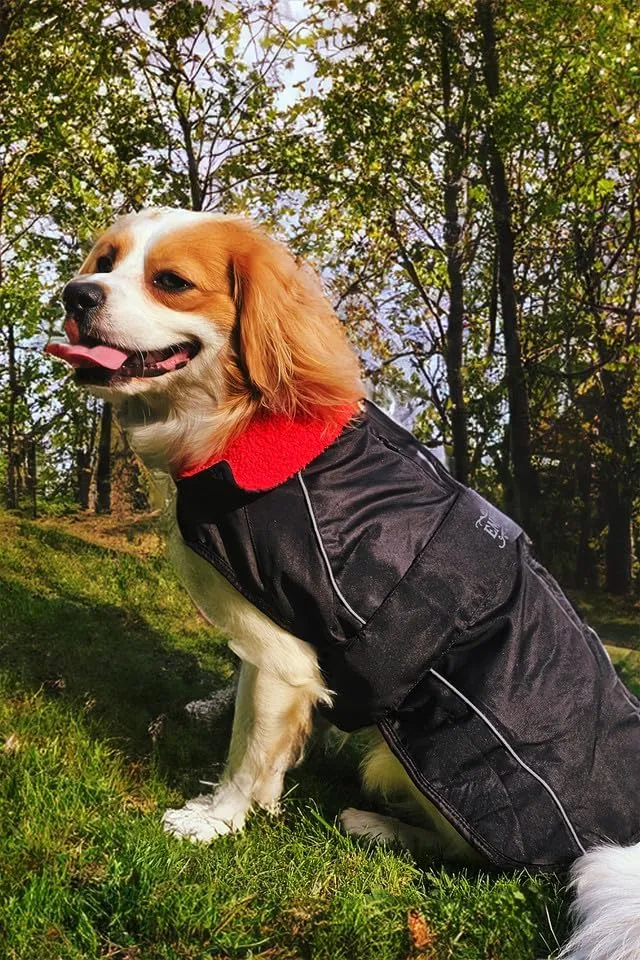 Waterproof Dog Jacket/Coat with Fleece Lining, Reflective Strips