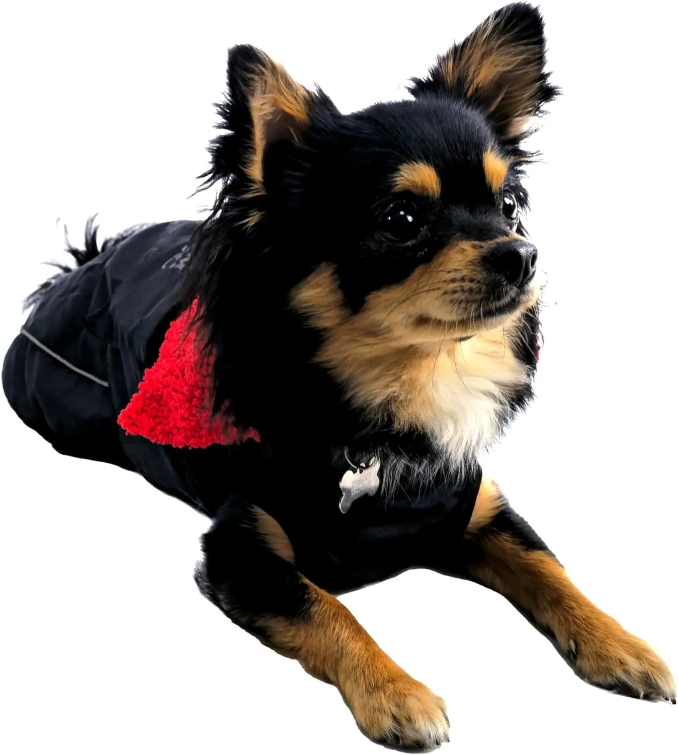 Waterproof Dog Jacket/Coat with Fleece Lining, Reflective Strips