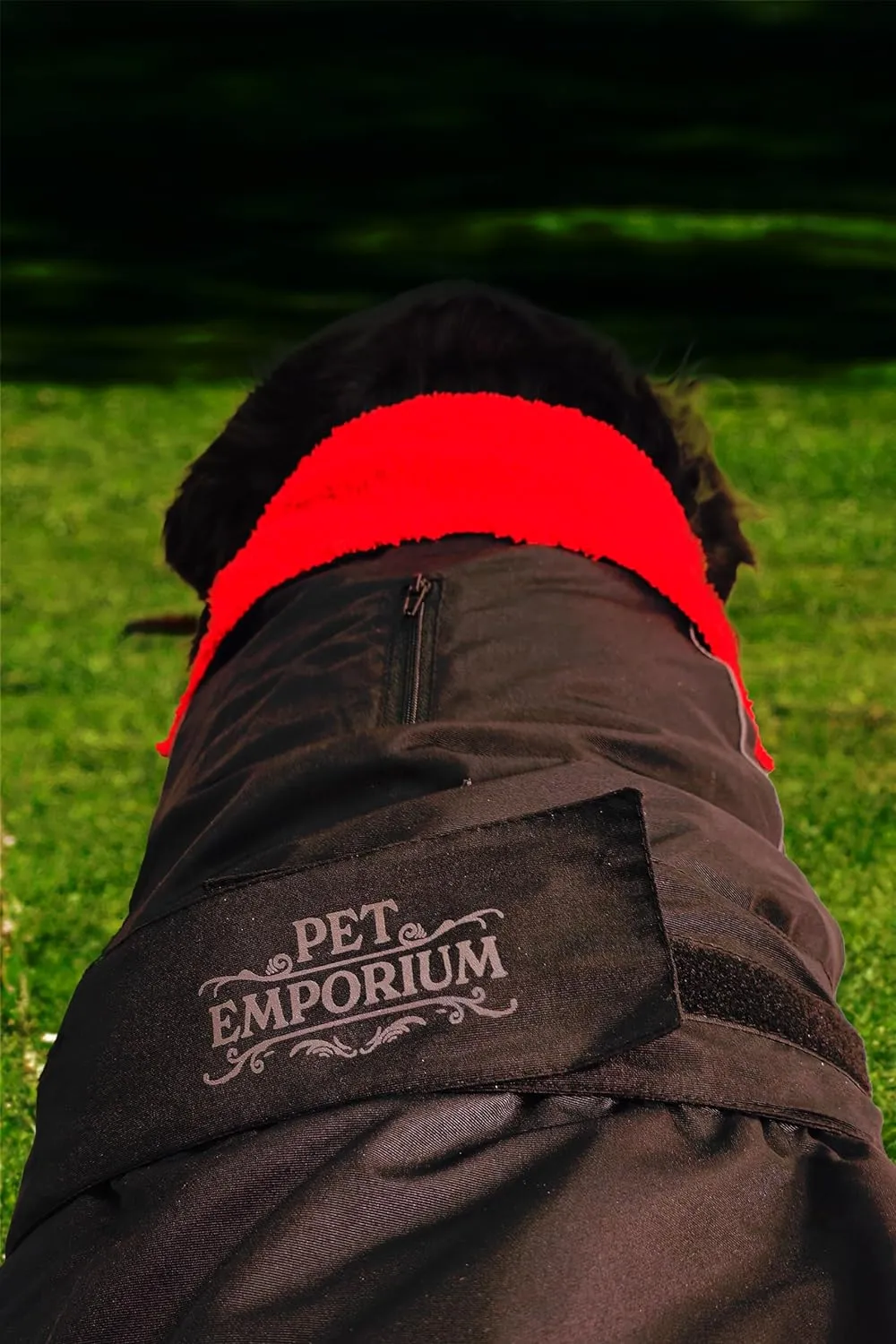 Waterproof Dog Jacket/Coat with Fleece Lining, Reflective Strips