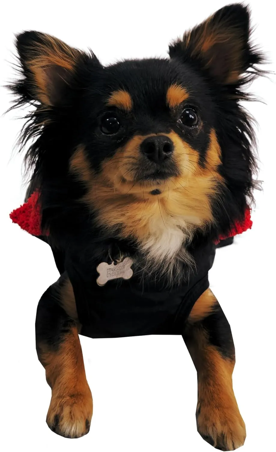 Waterproof Dog Jacket/Coat with Fleece Lining, Reflective Strips